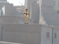 Gêm Gweithrediad Sniper  ar-lein