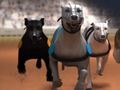 Gêm Greyhound Rasio  ar-lein
