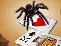 Gêm Neidio Spider  ar-lein
