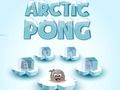 Gêm Pong Arctig  ar-lein