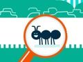 Gêm Bug Sboncen  ar-lein