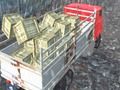 Gêm Gyrrwr Truck Offroad  ar-lein