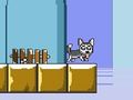Gêm Mr Jump Husky ar-lein