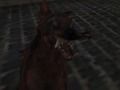 Gêm Y Fyddin Zombie Natsïaidd  ar-lein