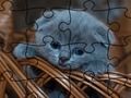 Gêm Pos Jig-so: Cats  ar-lein