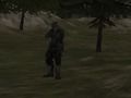 Gêm Asiantaeth FPS: Coedwig  ar-lein