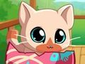 Gêm Fy Pocket Pets Kitty Cat  ar-lein