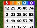 Gêm Bingo ar-lein