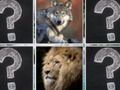 GĂȘm Cof Match Anifeiliaid Jungle ar-lein GĂȘm Cof Match Anifeiliaid Jungle ar-lein