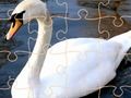 Gêm Her Pos Swan  ar-lein