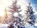Gêm Dewch o Hyd i Beli Eira  ar-lein