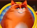 Gêm Kitty Scramble ar-lein
