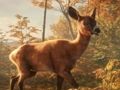 Gêm Parcio Ceir Safari Jeep Sim: Antur Jyngl  ar-lein