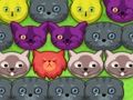 Gêm Kitties pop-pop  ar-lein