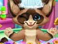 Gêm Bath Kitten  ar-lein