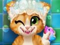 Gêm Bath Kitten Rusty  ar-lein