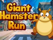 Gêm Rhedeg Hamster Anferth  ar-lein