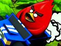 Gêm Dofednod ACE Downhill  ar-lein