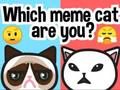 Gêm Pa Meme Cat Ydych chi?  ar-lein