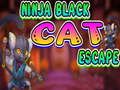 Gêm Dianc Cath Ddu Ninja  ar-lein