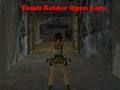Gêm Tomb Raider Agor Lara  ar-lein