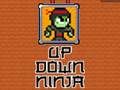 Gêm I fyny i lawr ninja ar-lein