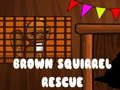 Gêm Achub Gwiwerod Brown  ar-lein