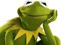 Gêm Llyfr Lliwio Ar Gyfer Kermit y Broga  ar-lein