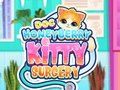 Gêm Meddygfa Kitty Doc HoneyBerry  ar-lein