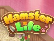 Gêm Pos Bywyd Hamster  ar-lein