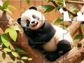 Gêm Pos Jig-so: Panda Ar Goeden  ar-lein