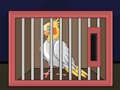 Gêm Rhyddhau'r Aderyn Cockatiel  ar-lein
