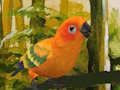Gêm Pos Budgie Ciwt  ar-lein
