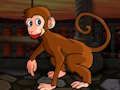 Gêm Dianc Macaque Lleihaol  ar-lein