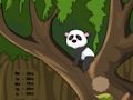 Gêm Panda Jyngl Dianc  ar-lein