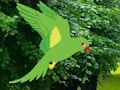 Gêm Parot Dod o Hyd i'r Nyth  ar-lein