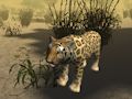 Gêm Efelychydd Hela Cheetah Affricanaidd  ar-lein