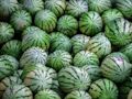 Gêm Jig-so Watermelon  ar-lein