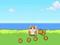 Gêm Cliciwr Kombat Hamster ar-lein