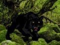 Gêm Dianc o Goedwig Panther Ddu  ar-lein