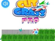 Gêm Torri glaswellt pro  ar-lein