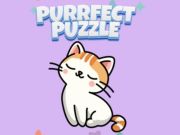 Gêm Pos purrect  ar-lein
