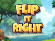 Gêm Ei fflipio'n iawn  ar-lein