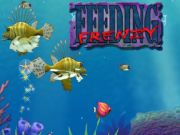 Gêm Bwydo frenzy ar-lein