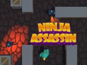 Gêm Ninja Assassin ar-lein