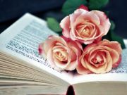 Gêm Llyfr y Blooms Jig -so ar-lein