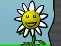 Gêm Flower Power ar-lein