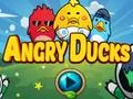 Gêm Angry Ducks ar-lein