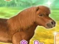 Gêm My Dear Pony ar-lein