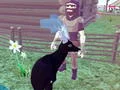 Gêm Deer Simulator 3D ar-lein